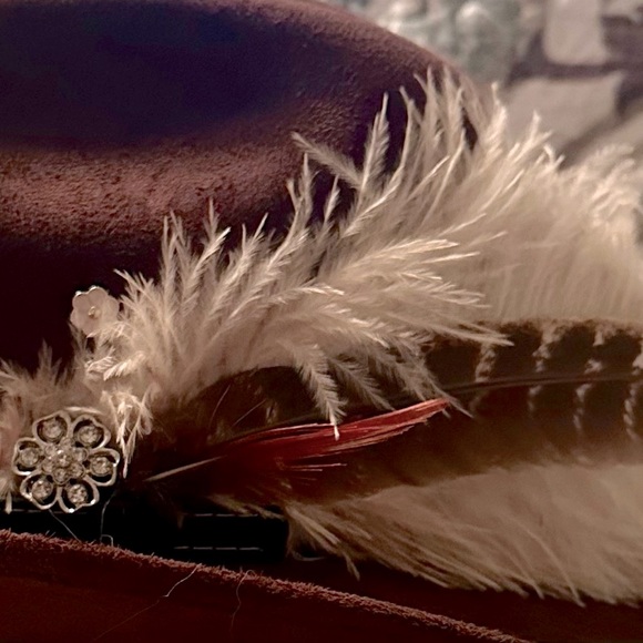 Brown Western Hat with Feather Accent - Picture 7 of 8